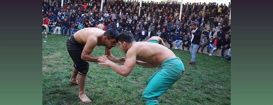 Türkiye'de Karakucak Güreşine İlgi Seviyesinin Araştırılması